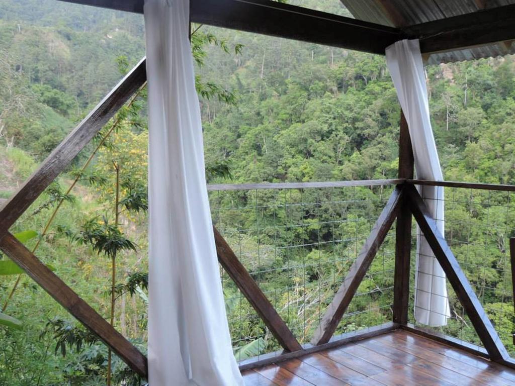 Mount Edge Guest House Port Antonio Kültér fotó