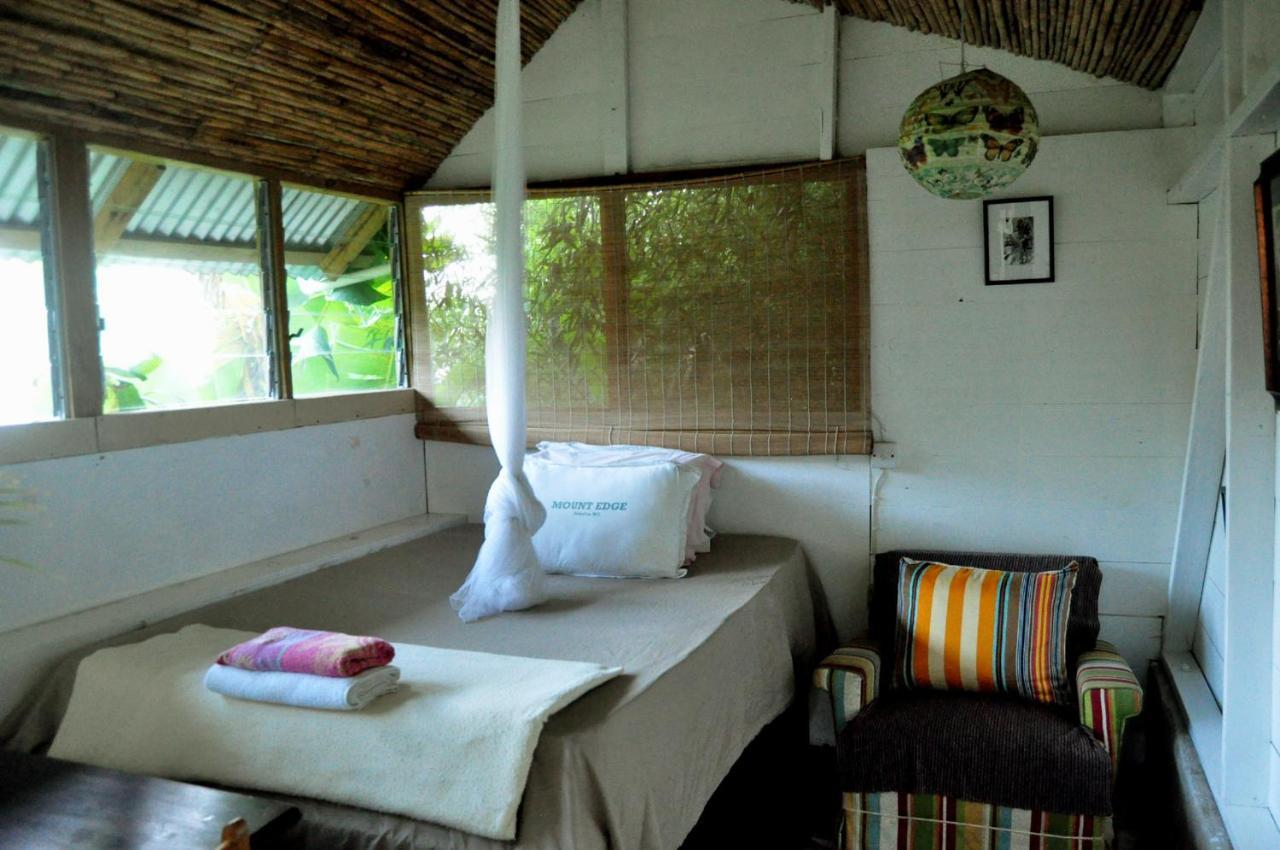 Mount Edge Guest House Port Antonio Kültér fotó