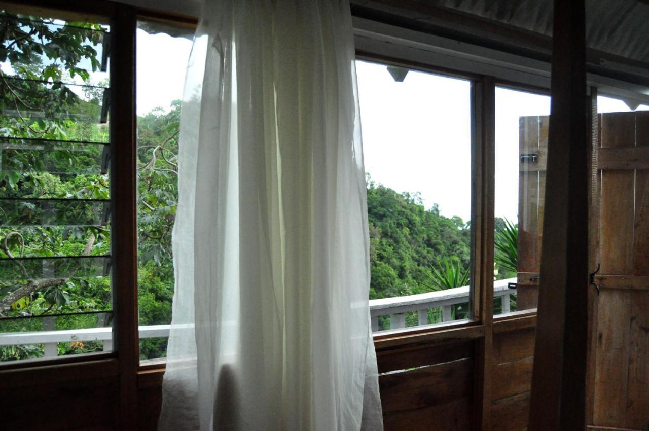 Mount Edge Guest House Port Antonio Kültér fotó